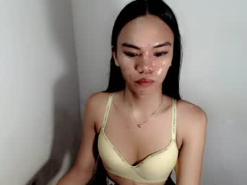 hollyhalo