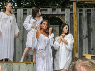 Renaissance Fair Wet T-Shirt — 45
