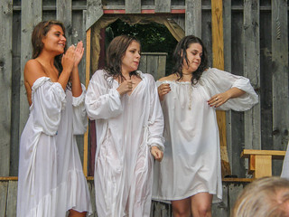 Renaissance Fair Wet T-Shirt — 33