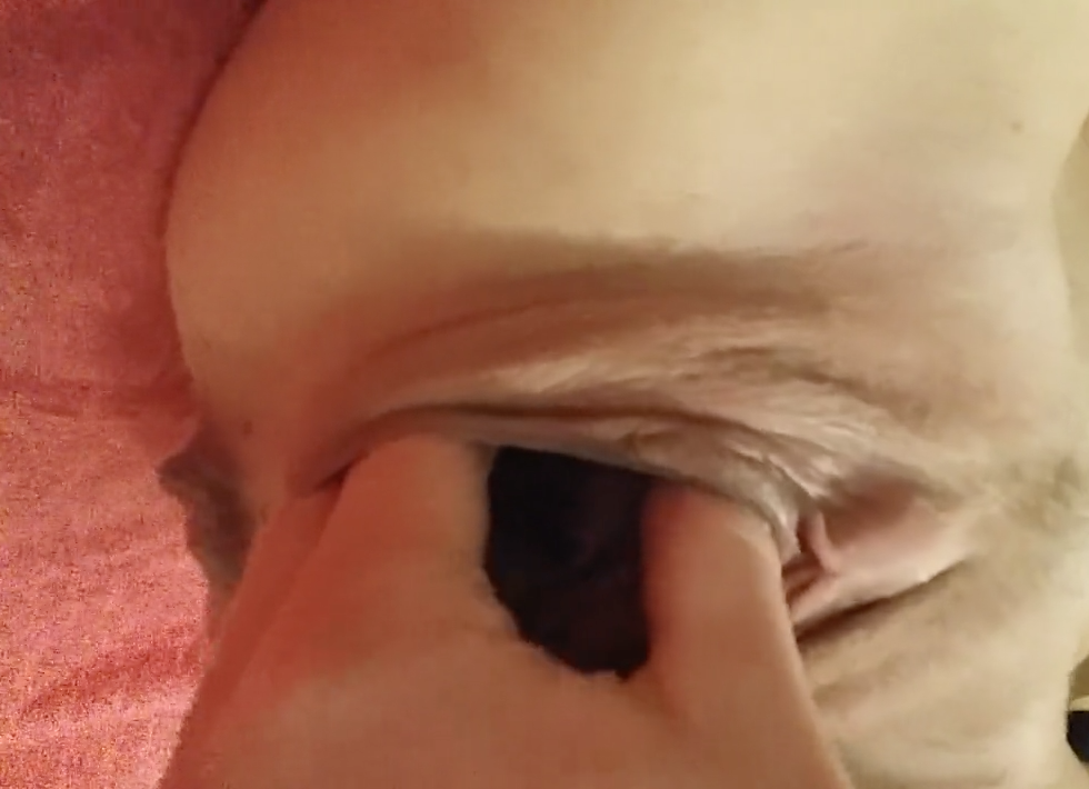 STUFFED PUSSIES AND SIZE QUEEN COMPILATION 2 — 11