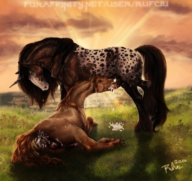 Gay Furry :) — 14