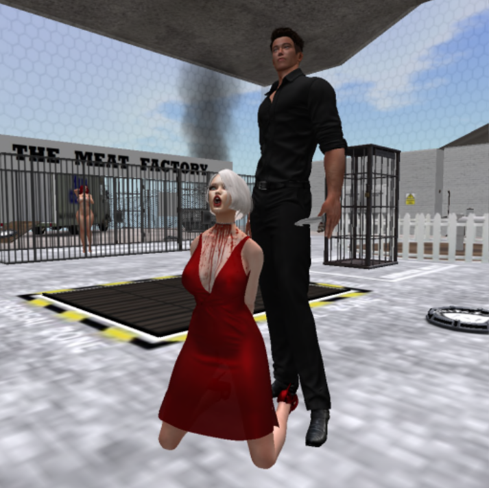 Second Life Game 2 — 37