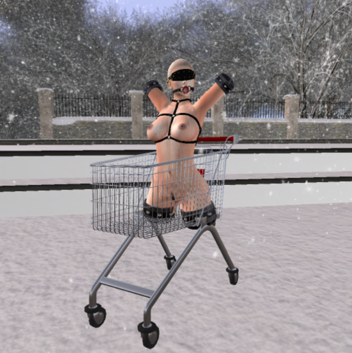 Second Life Game 2 — 13