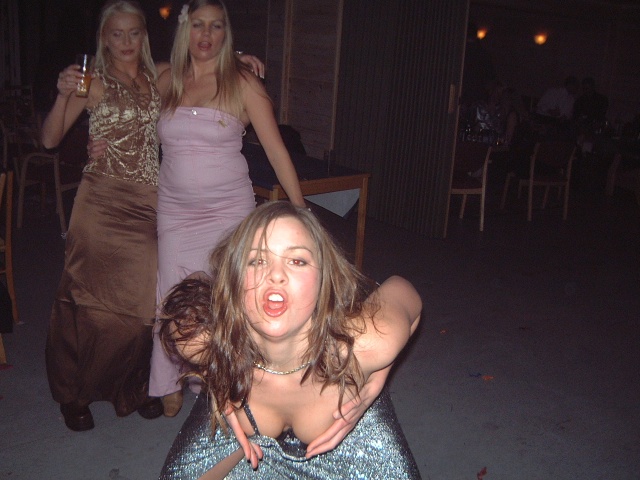 Swedish party babes VII — 6